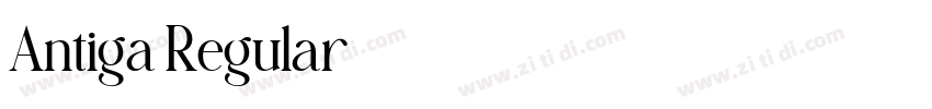 Antiga Regular字体转换